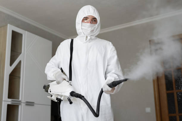 Lido Beach, NY Mold Removal Company